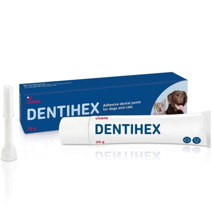 DENTIHEX 20G