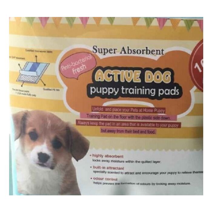 PALAGI ABSORB ACTIVE DOG 40X60CM N10 KUCĒNU APMĀCĪBAI